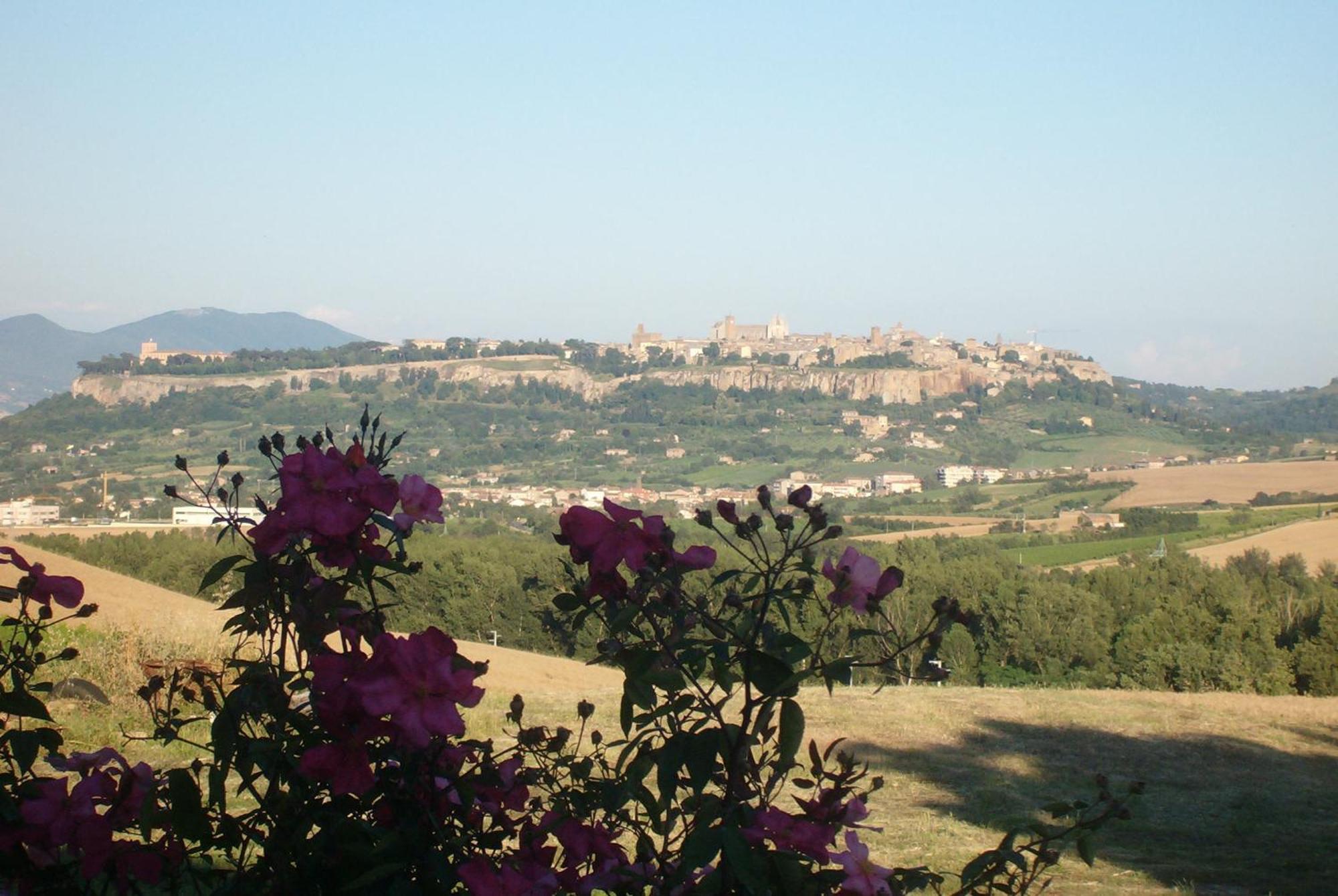 Agriturismo Cioccoleta Villa Orvieto Exterior photo