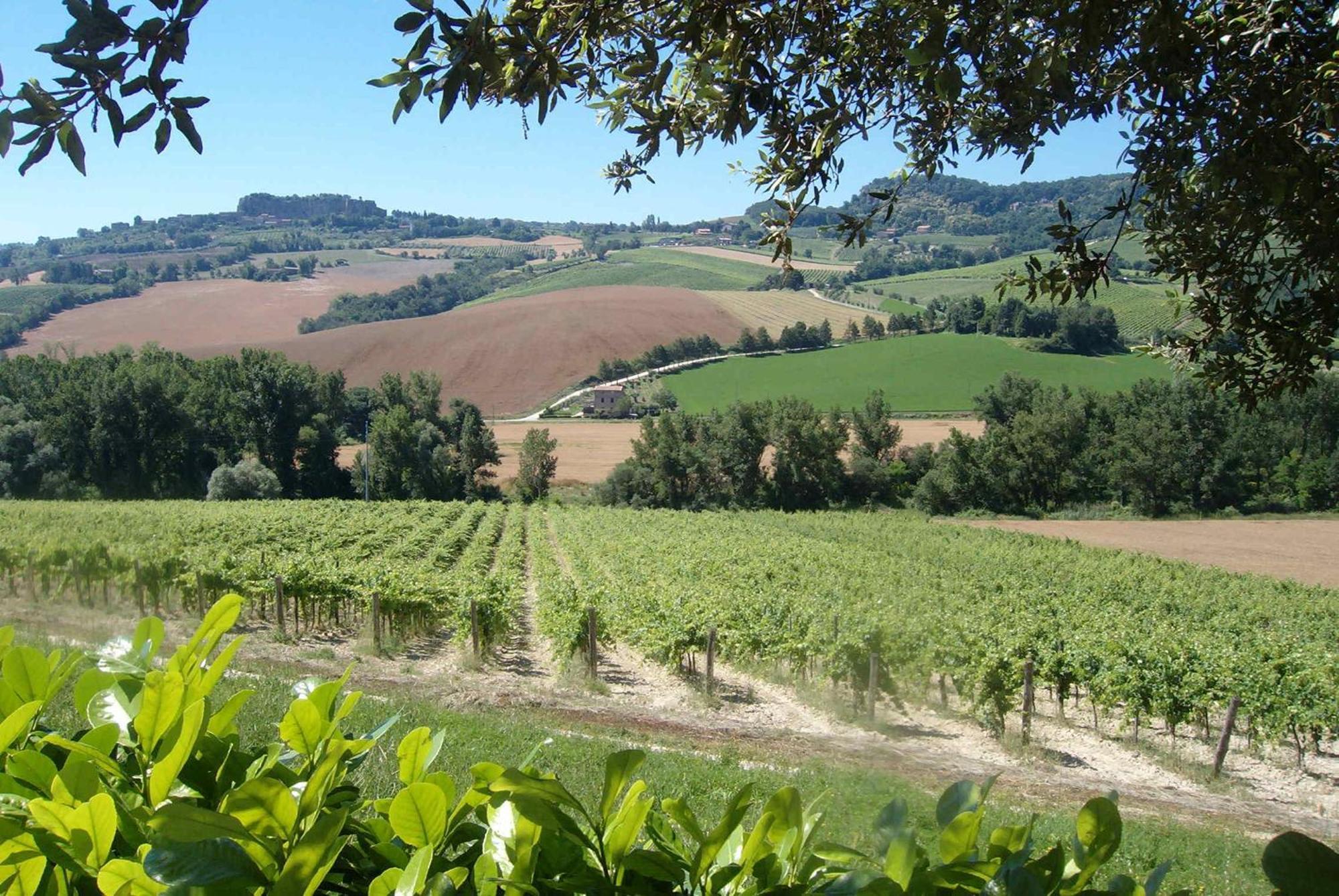 Agriturismo Cioccoleta Villa Orvieto Exterior photo