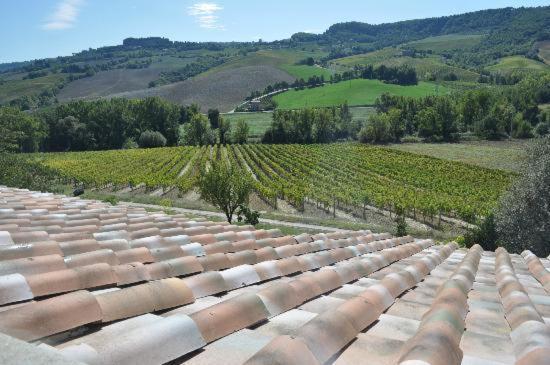 Agriturismo Cioccoleta Villa Orvieto Exterior photo